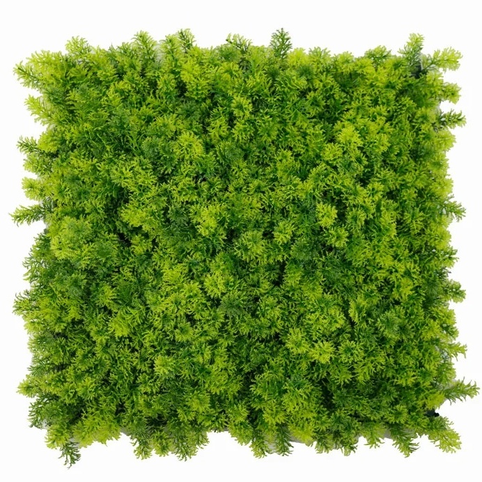 Moss coral, dílec 50 x 50 cm
