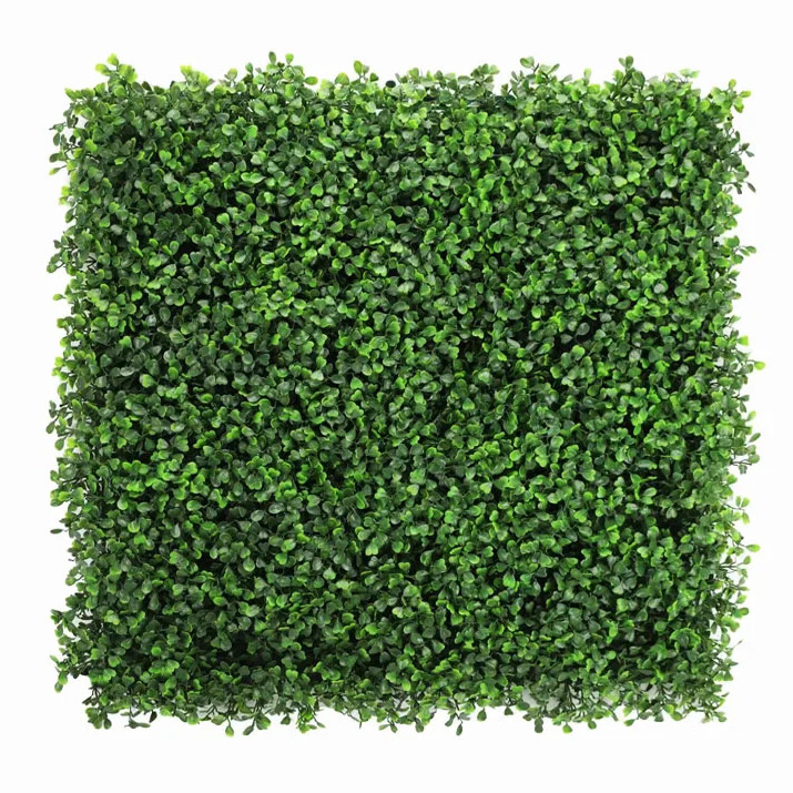 BUXUS GREEN, dílec 50 x 50 cm