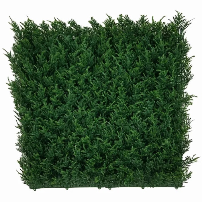THUJA Japonica, dílec 50 x 50 cm