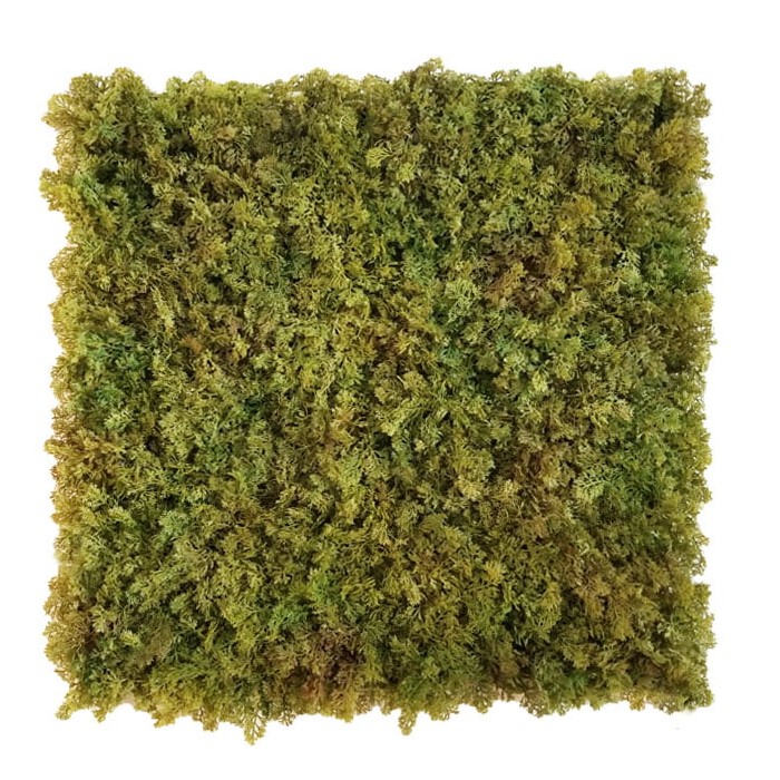 Shaggy moss green/brown, dílec 50 x 50 cm