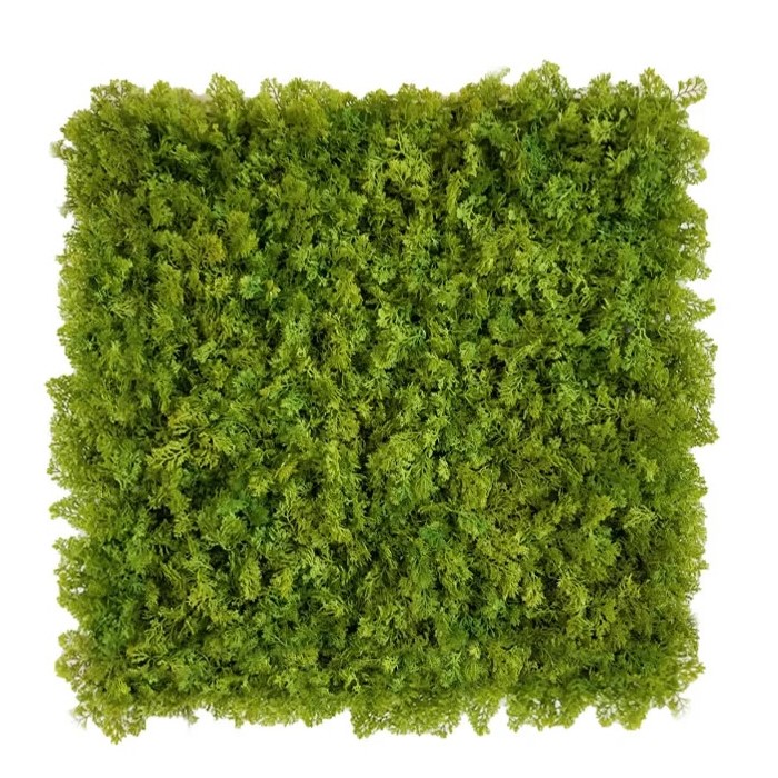 Shaggy moss green, dílec 50 x 50 cm