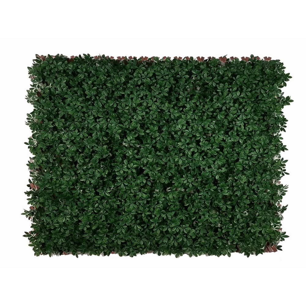 SCHEFFLERA - DARK GREEN EXT, rozměr - 1,0x2,0 m