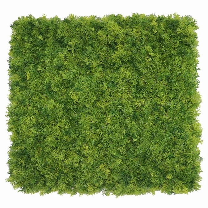 Moss deep dark, dílec 50 x 50 cm