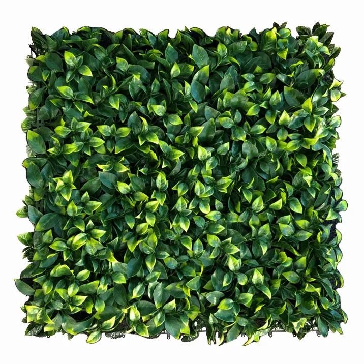 Citrus maxi, dílec 50 x 50 cm