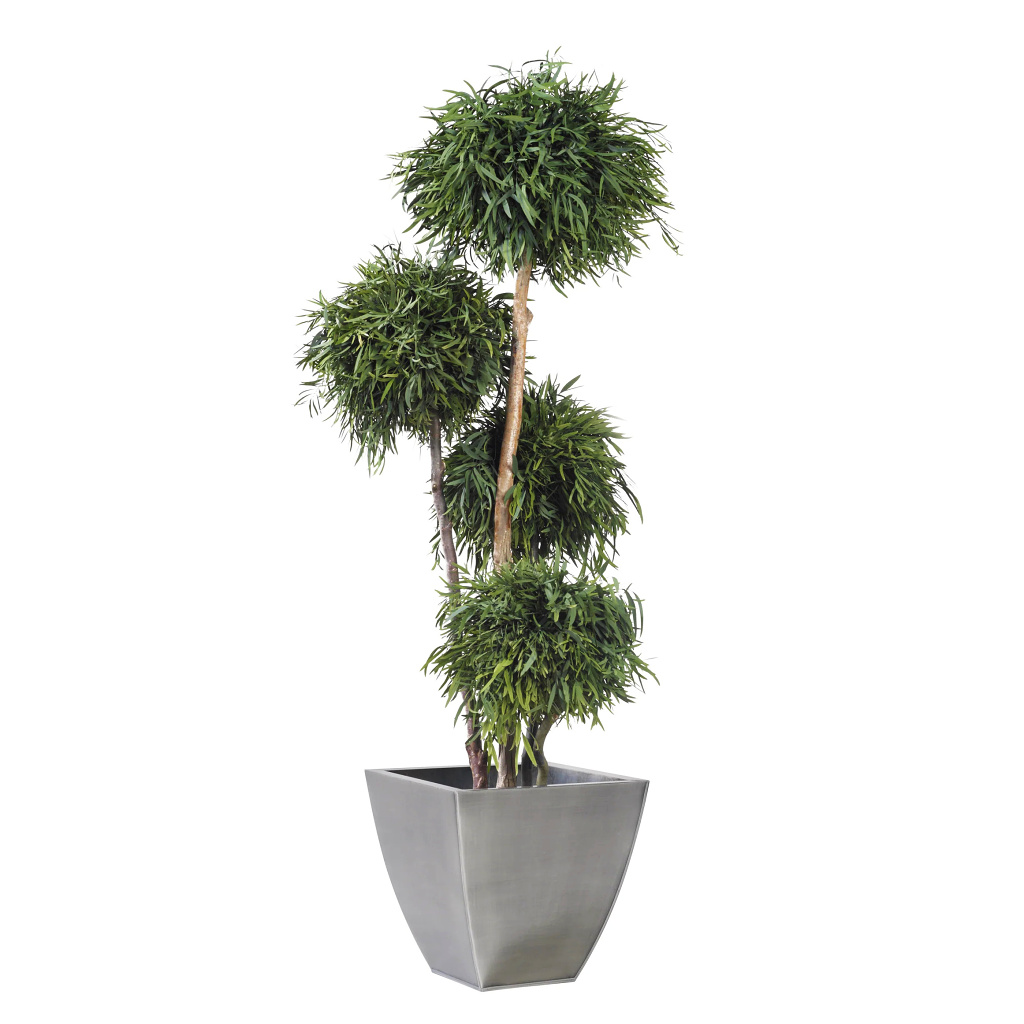 Nicoly tree - 4 spheres