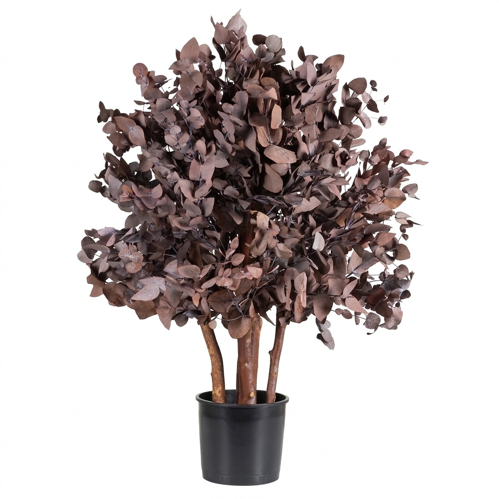 Cinerea Bush