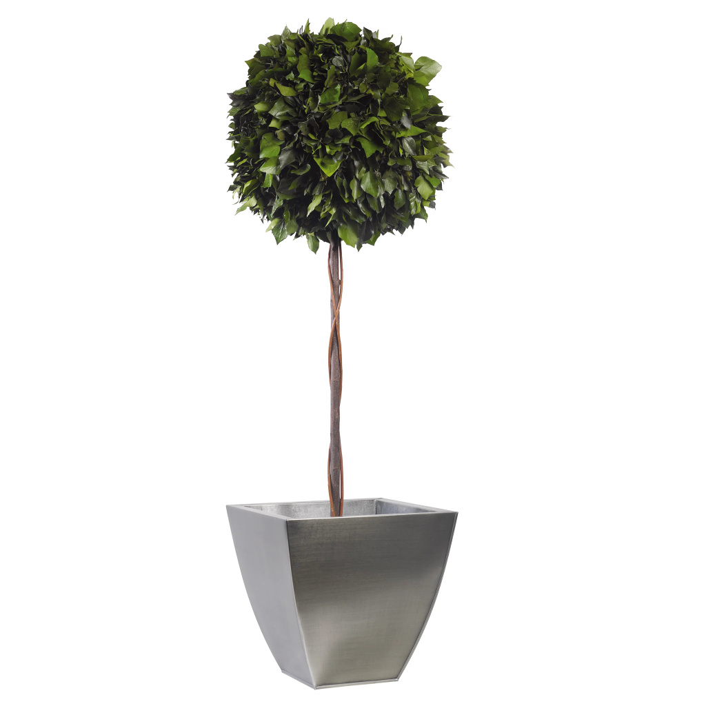 Ivy - simple sphere