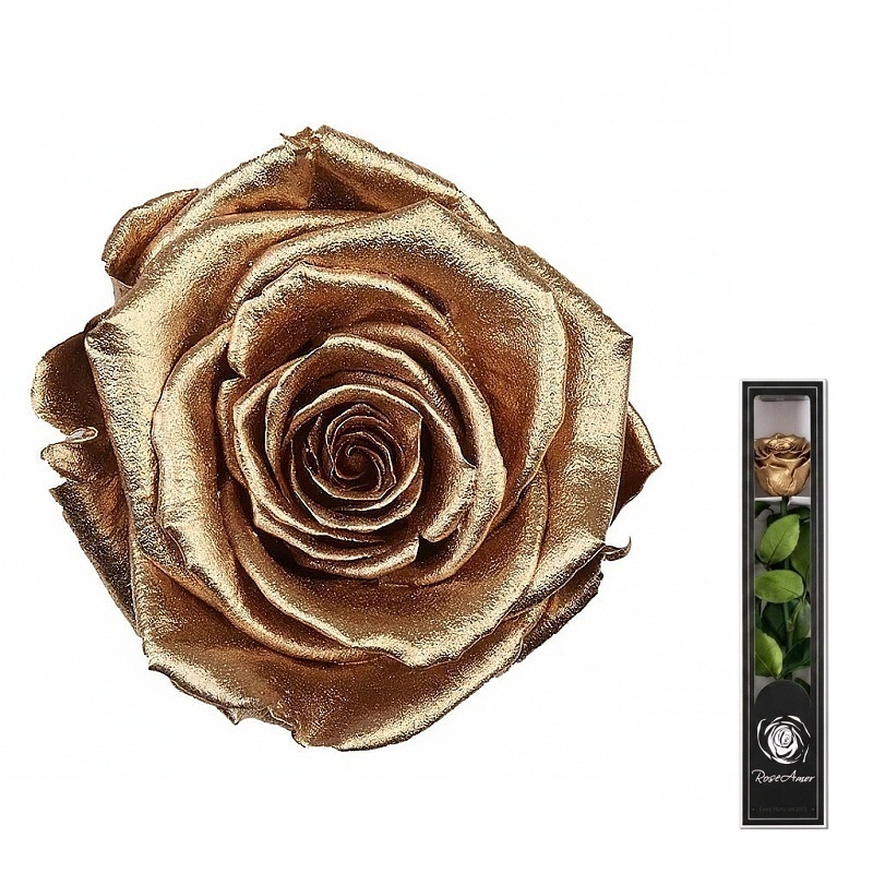 Dárková stabilizovaná růže MINI - METALLIC - zlatá