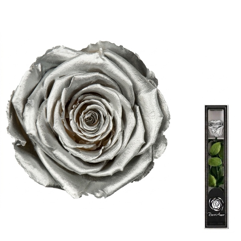 Dárková stabilizovaná růže MINI - METALLIC - stříbrná