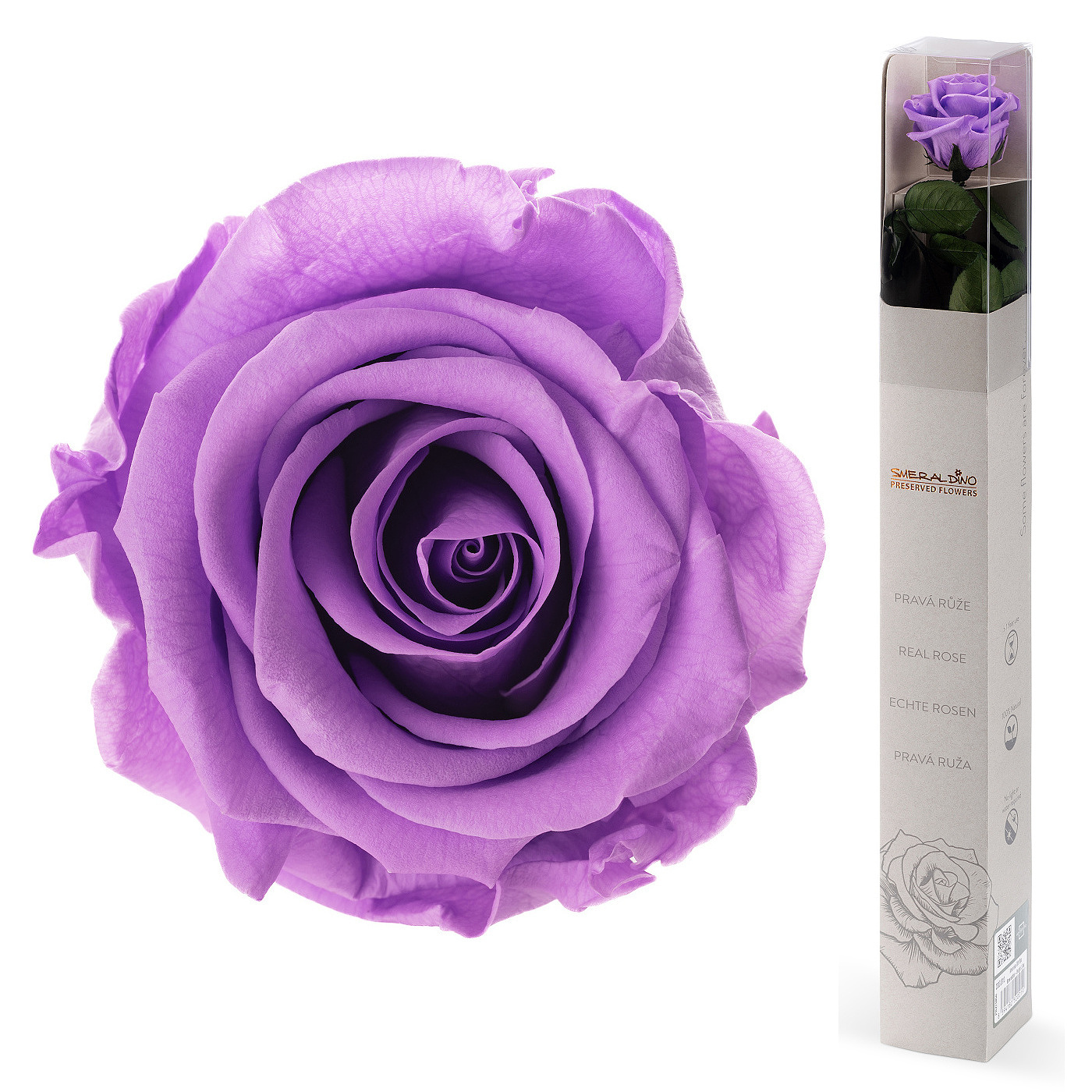 Dárková stabilizovaná růže - lila