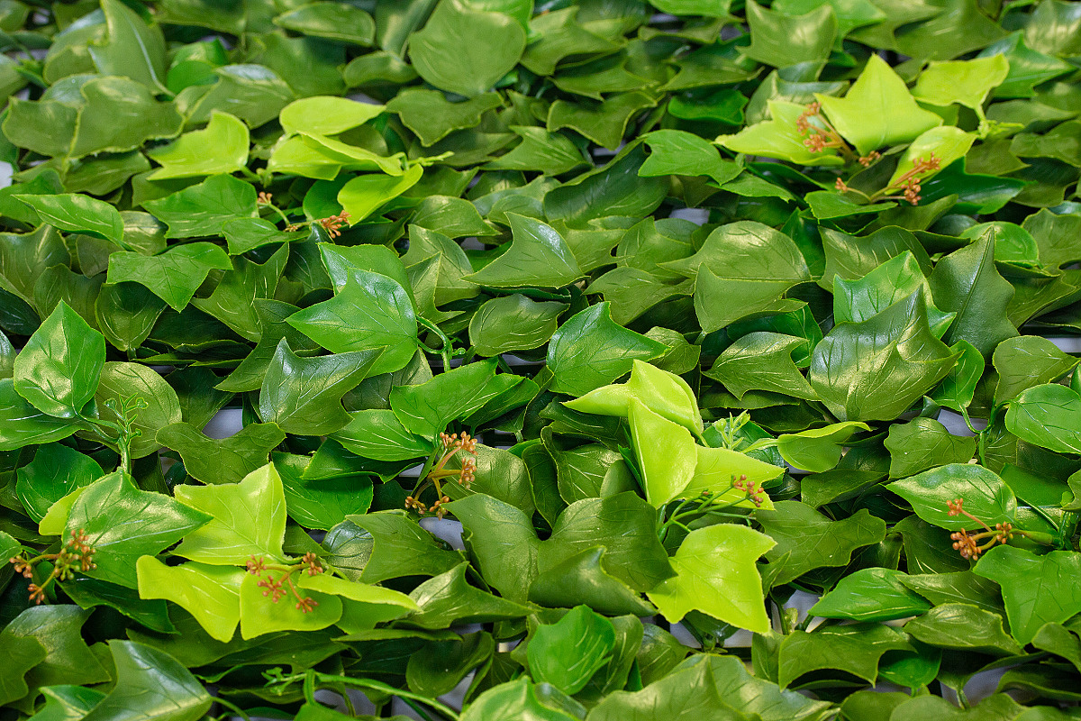 HEDERA BLOOM, dílec 50 x 50 cm