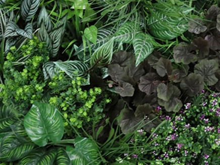 Variabilní WALL GREEN Pilea, dílec 100 x 100 cm