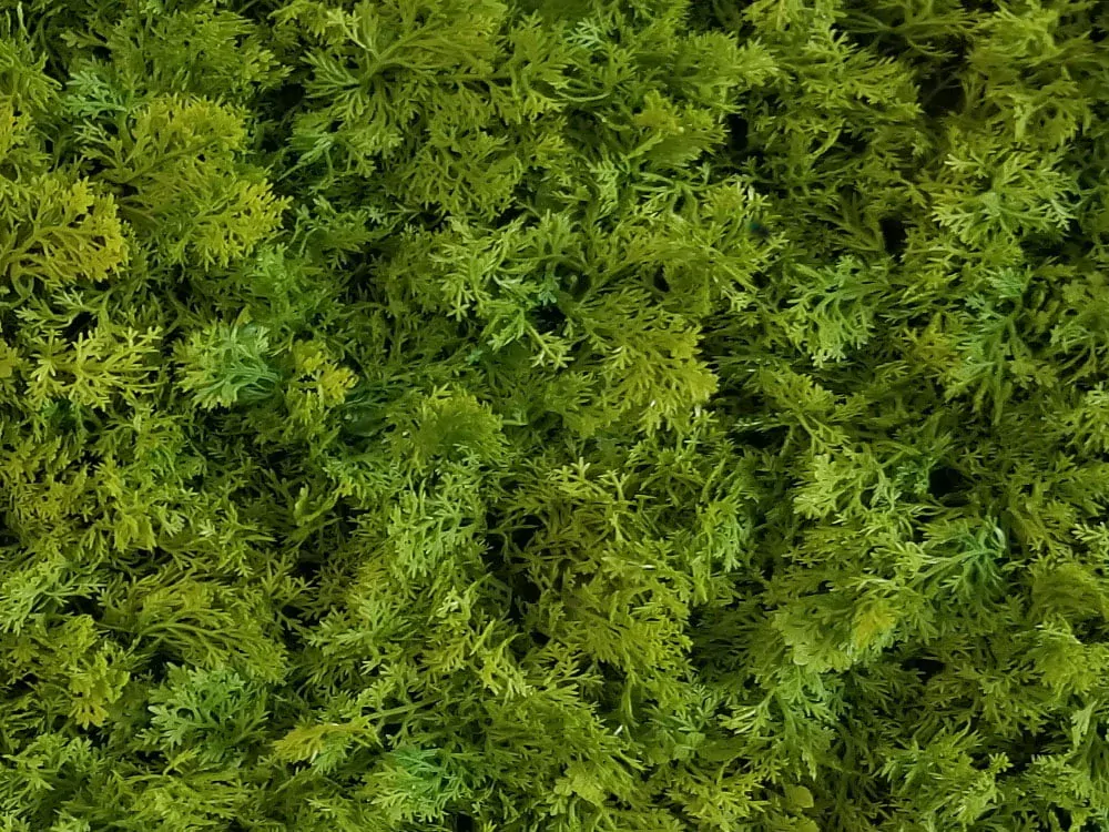 Shaggy moss green, dílec 50 x 50 cm