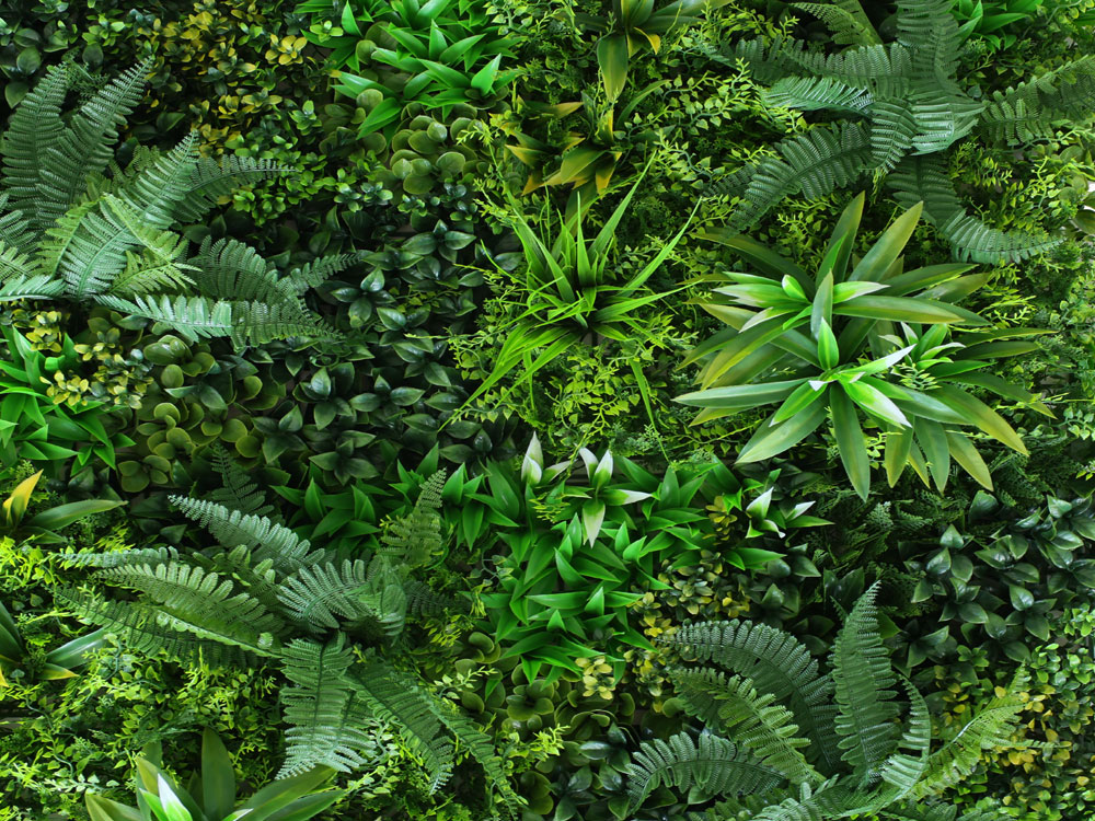 WALL GREEN fern, dílec 100 x 100 cm