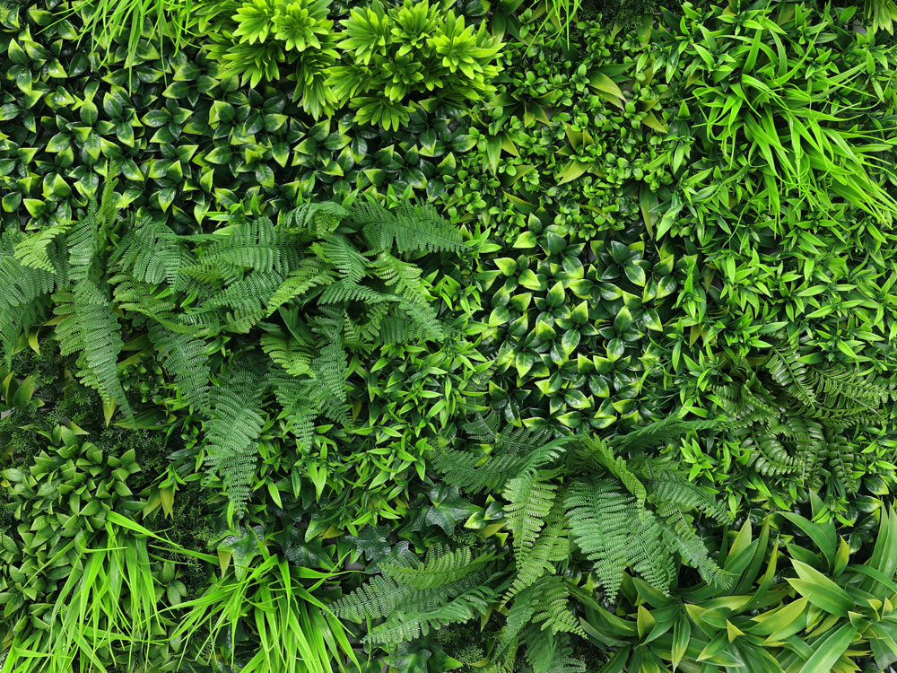 WALL GREEN Ruscus, dílec 100 x 100 cm
