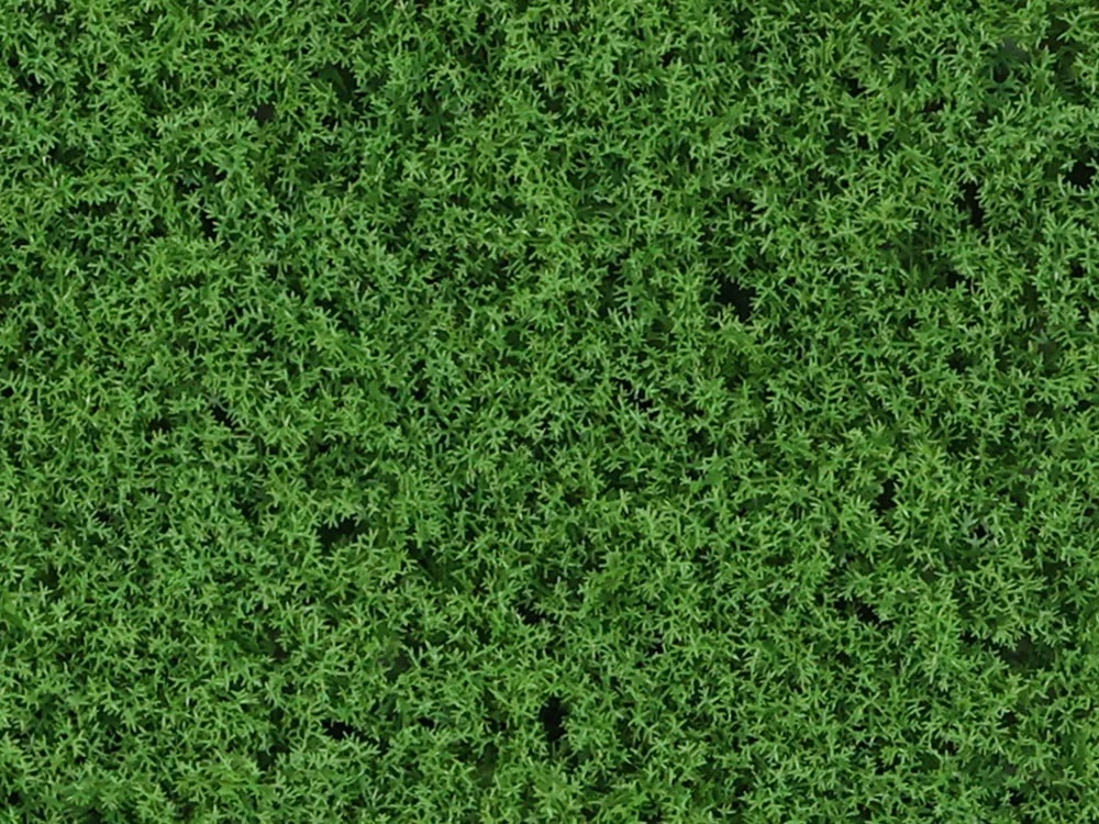 Moss Island dark green, dílec 50 x 50 cm