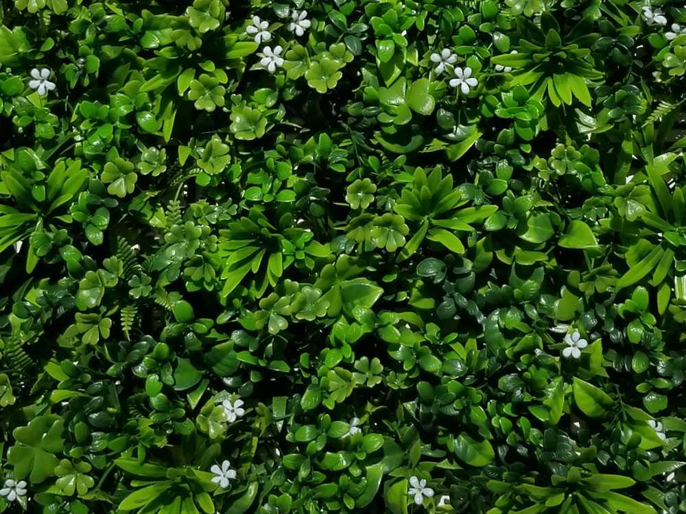 Sedum bloom, dílec 50 x 50 cm