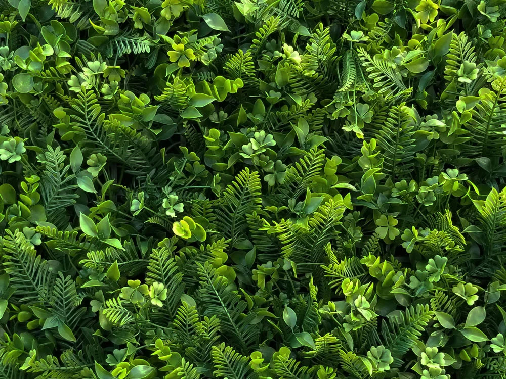 MINI WALL GREEN Fern and clover, dílec 50 x 50 cm