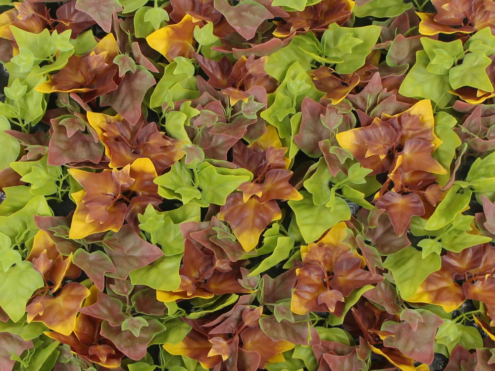 Hedera autumn, dílec 50 x 50 cm