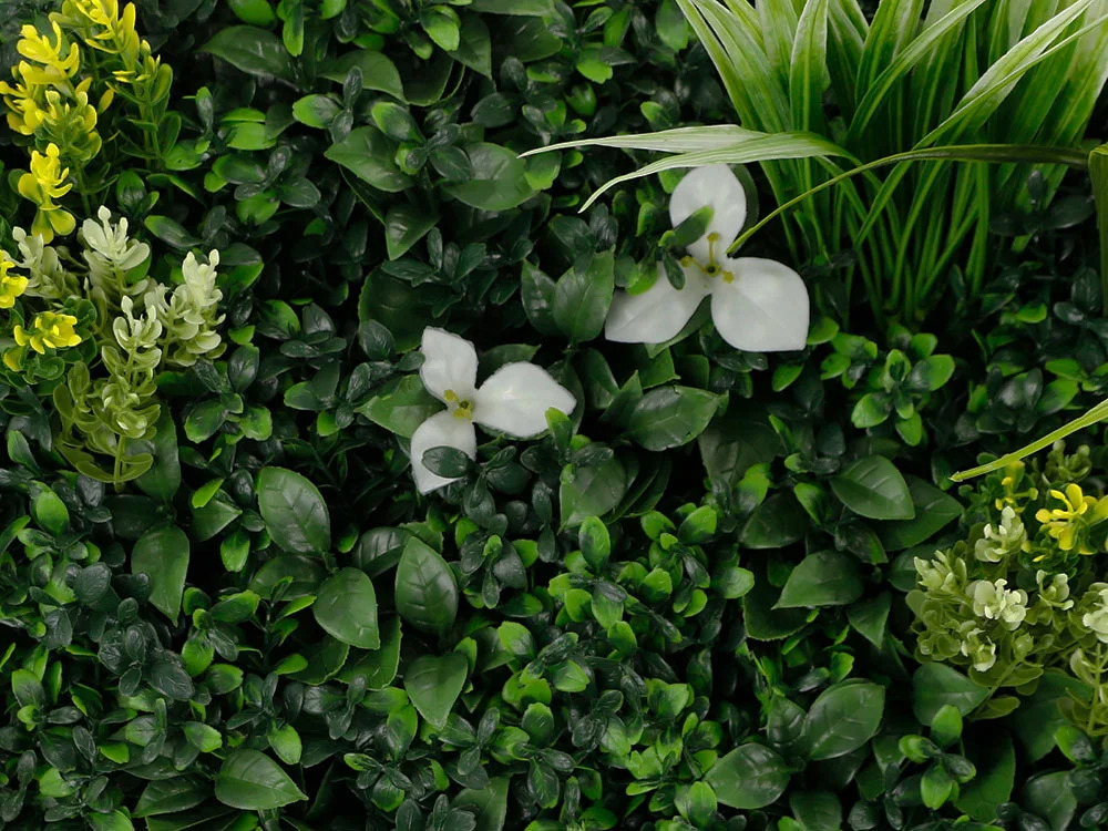 MINI WALL GREEN orchid and fern, dílec 50 x 50 cm