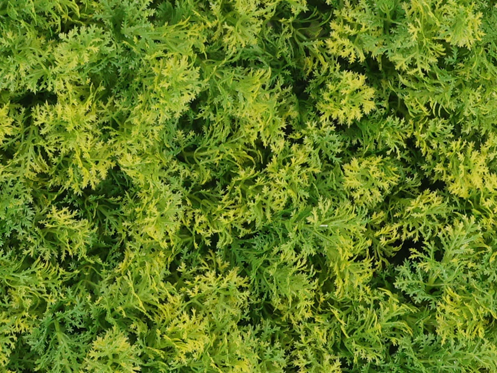 Moss coral yellow, dílec 50 x 50 cm