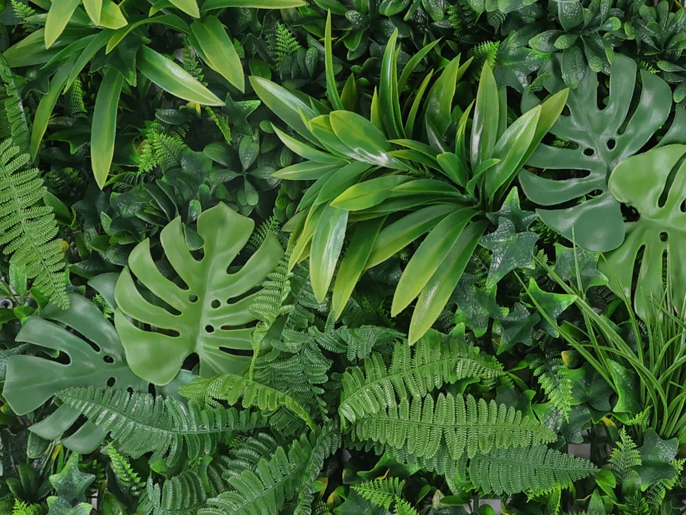 WALL GREEN Monstera, dílec 100 x 100 cm