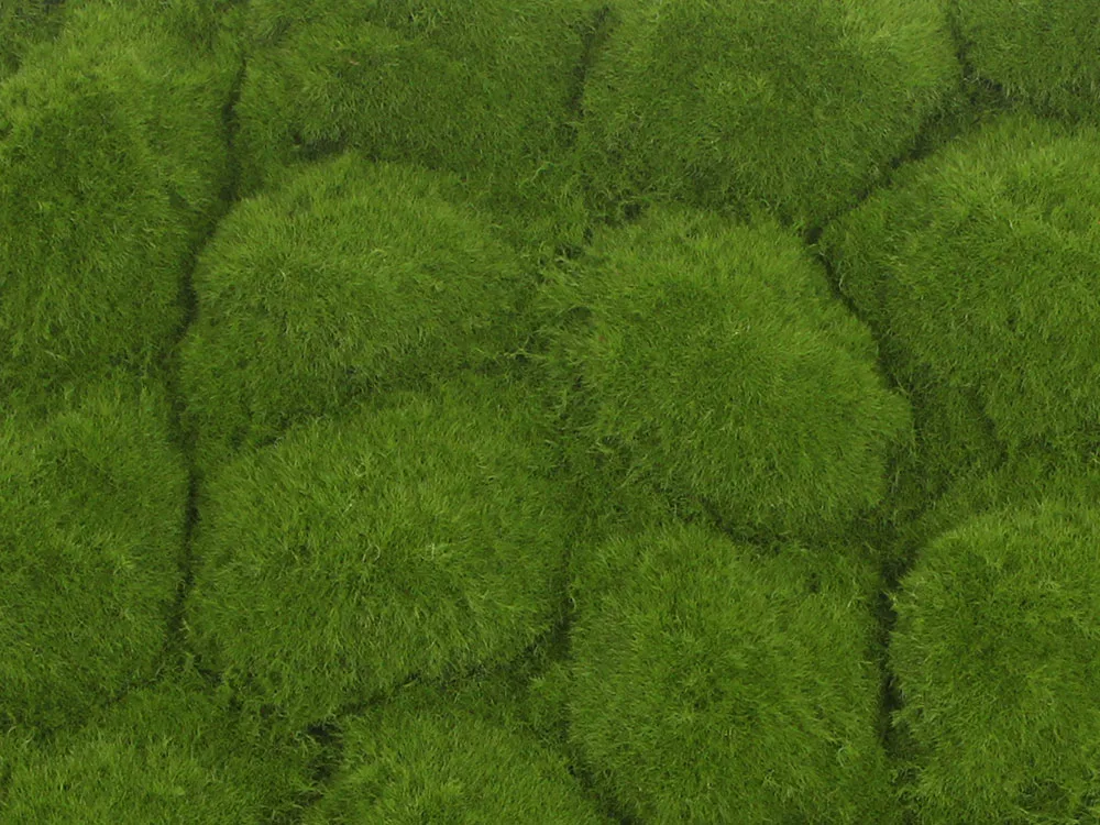 Globe moss light green , dílec 50 x 50 cm