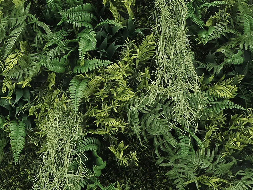 WALL GREEN beard moss fern, dílec 100 x 100 cm