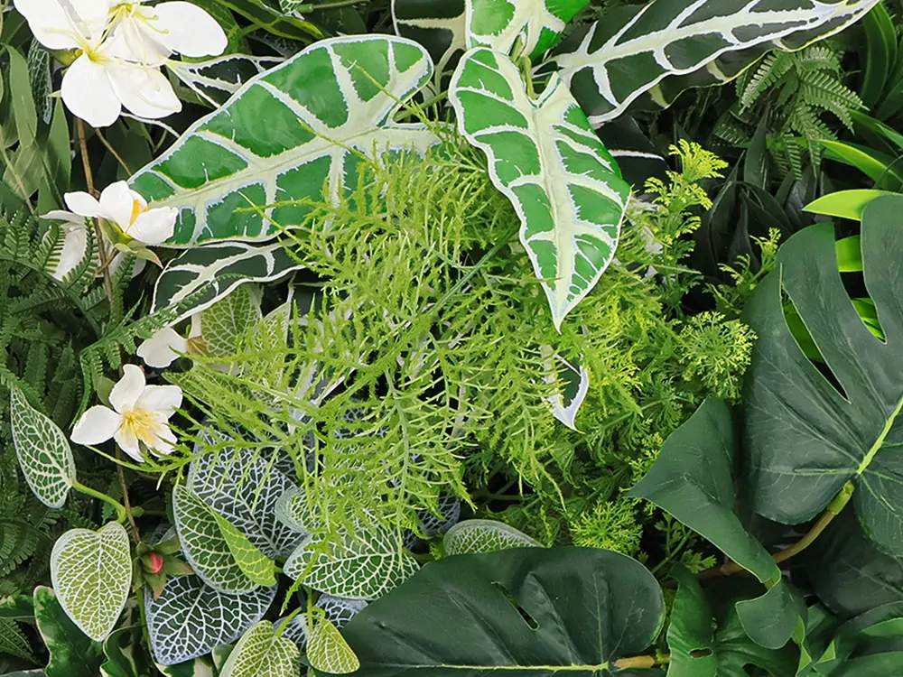 MINI WALL GREEN Alocasia, dílec 50 x 50 cm
