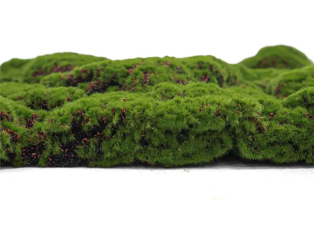 Ball moss varia, dílec 50 x 50 cm