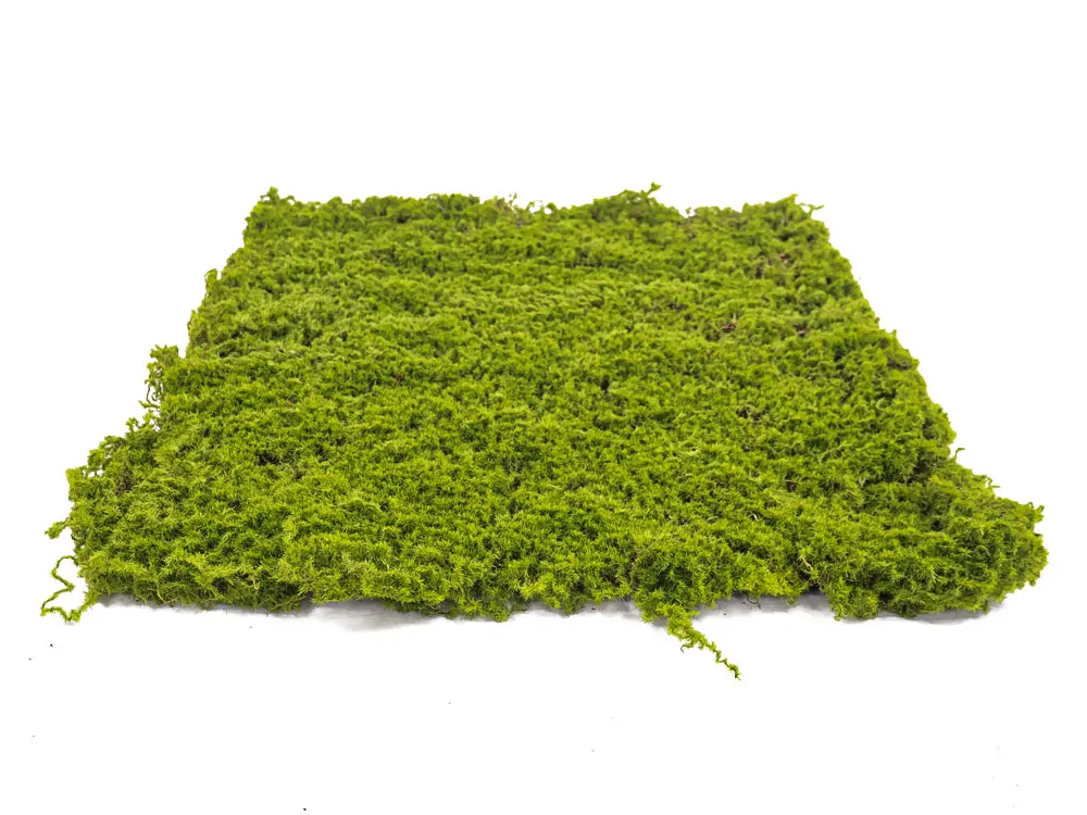 Moss gray crooked, dílec 50 x 50 cm