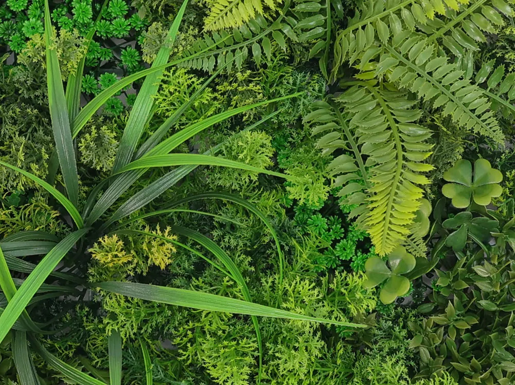 MINI WALL GREEN moss fern flora, dílec 50 x 50 cm