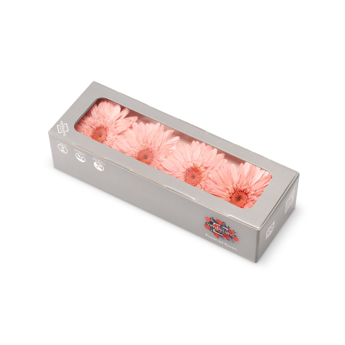 Gerbera - 4 ks
