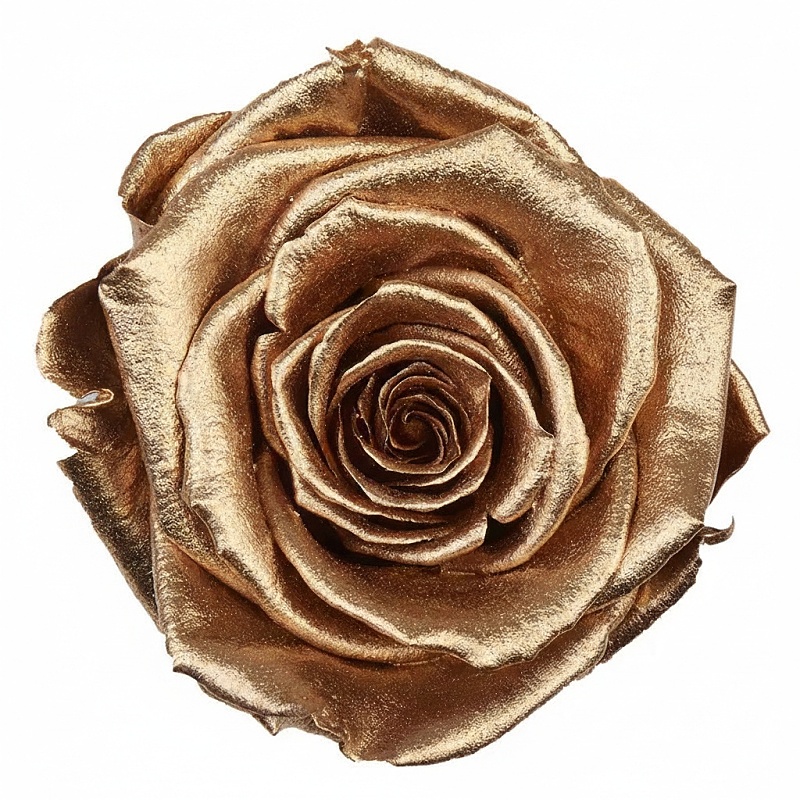 Dárková stabilizovaná růže - METALLIC - zlatá