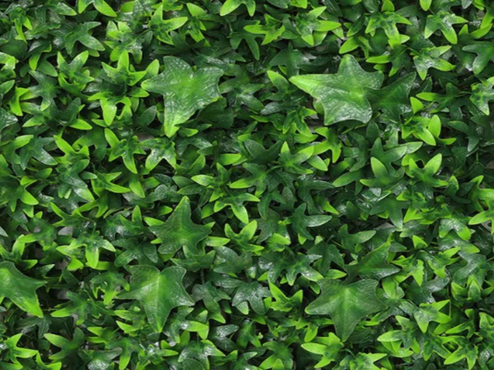 Hedera mini, dílec 50 x 50 cm