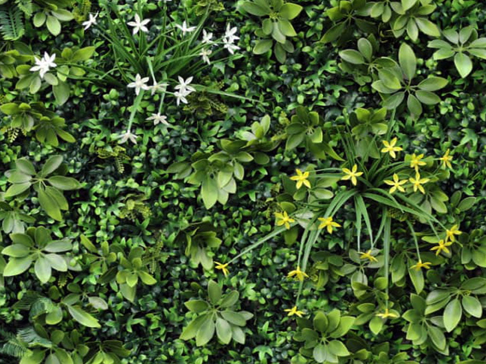 WALL GREEN color mix Shefflera, dílec 100 x 100 cm