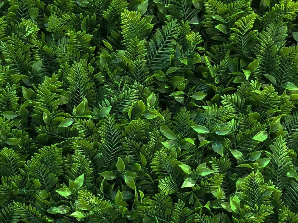 MINI WALL GREEN Fern, dílec 50 x 50 cm