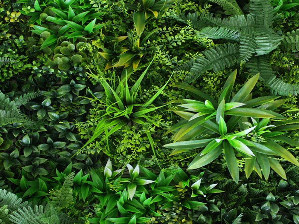 WALL GREEN fern, dílec 100 x 100 cm