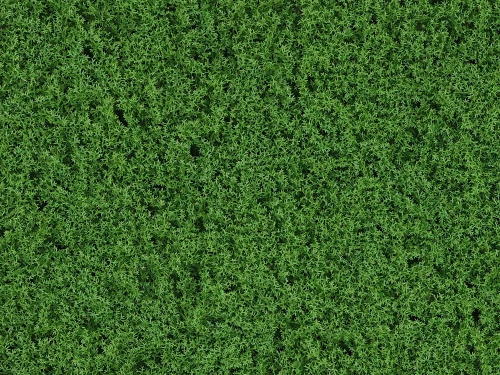 Moss Island dark green, dílec 50 x 50 cm