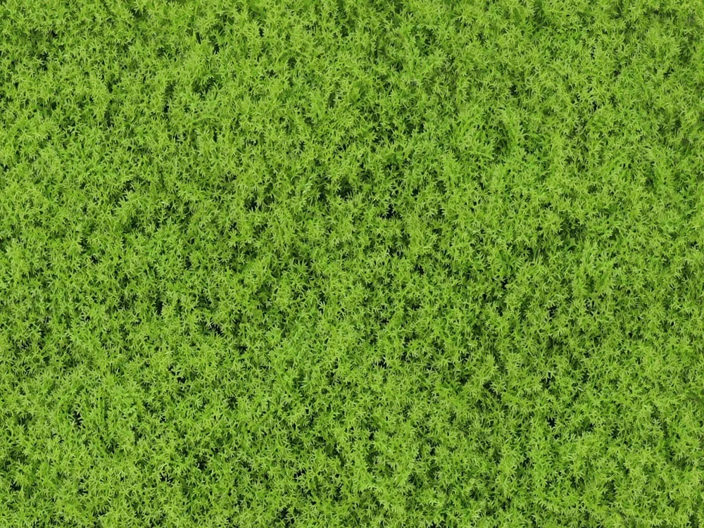 Moss Island light green, dílec 50 x 50 cm