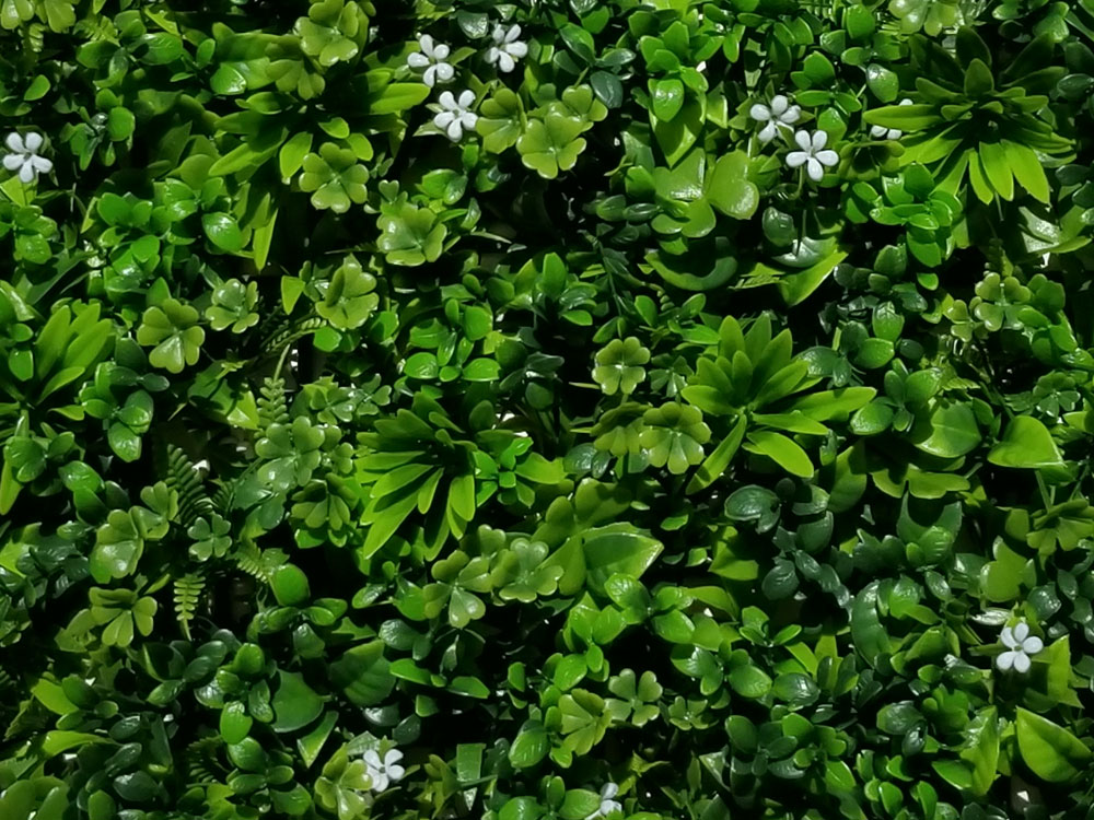 Sedum bloom, dílec 50 x 50 cm