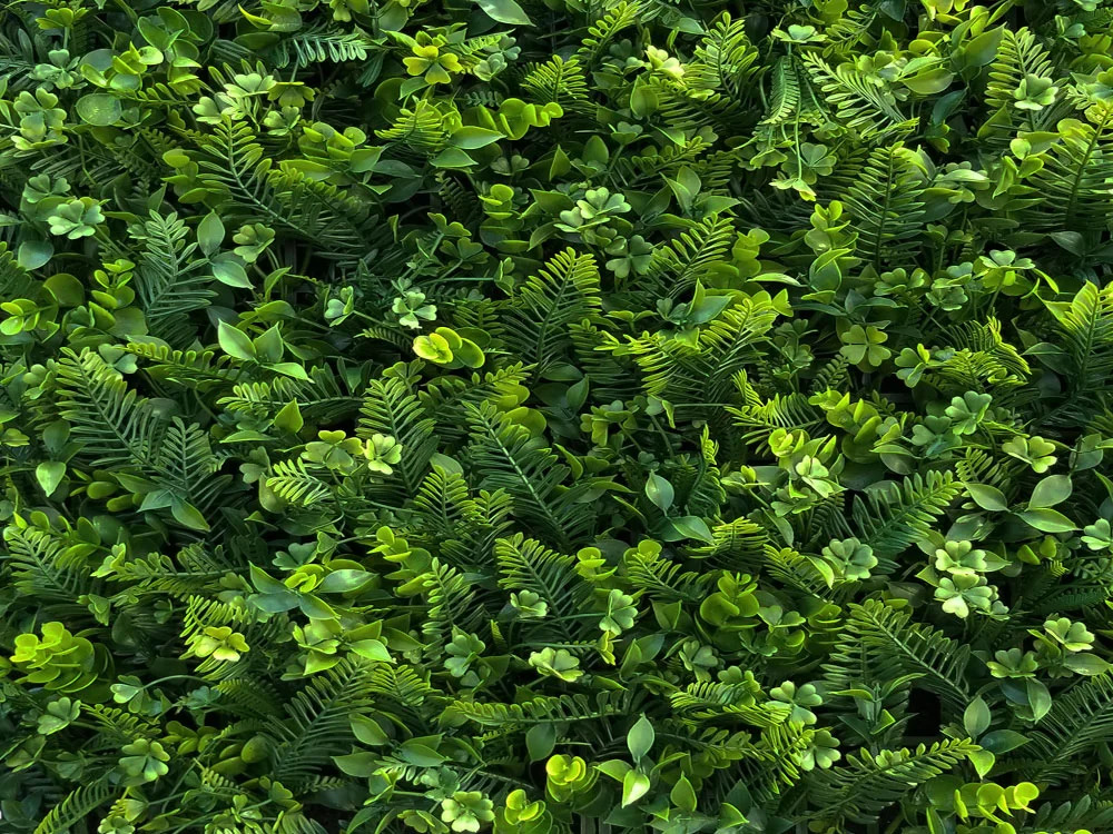 MINI WALL GREEN Fern and clover, dílec 50 x 50 cm