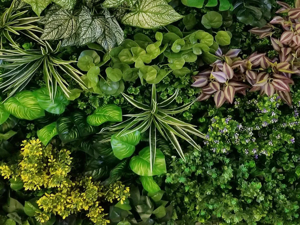 Variabilní WALL GREEN Pilea, dílec 100 x 100 cm