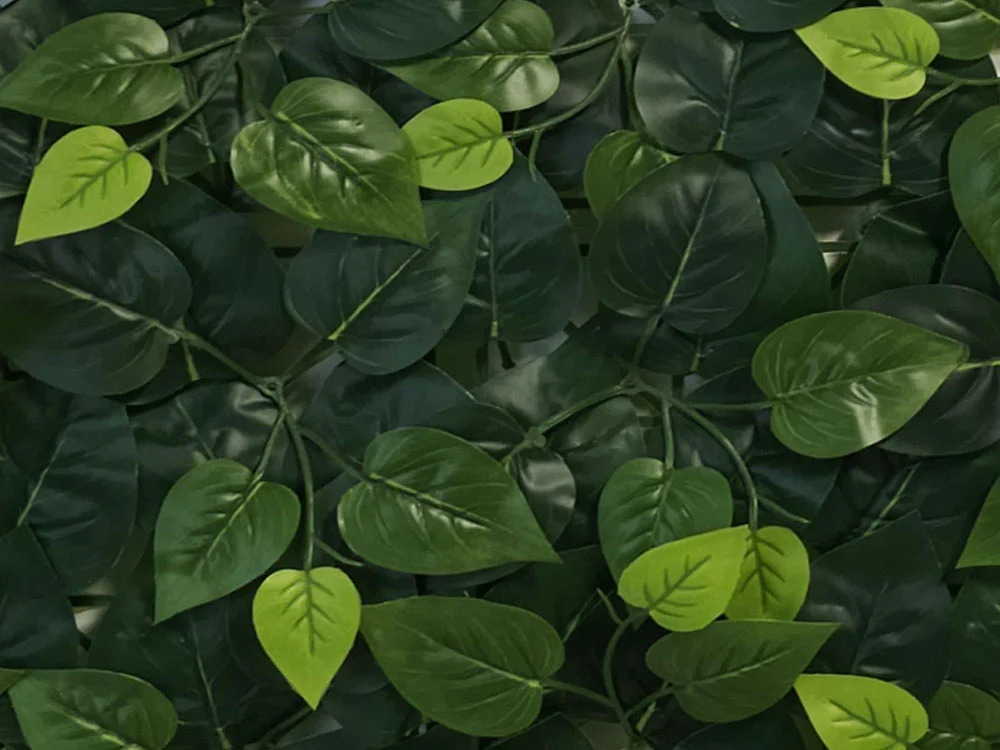 VULGARIS ECONOMY, dílec 50 x 50 cm