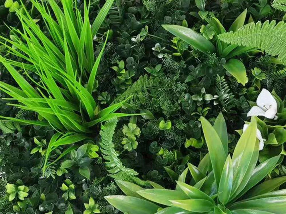 MINI WALL GREEN Dracaena and orchid, dílec 50 x 50 cm
