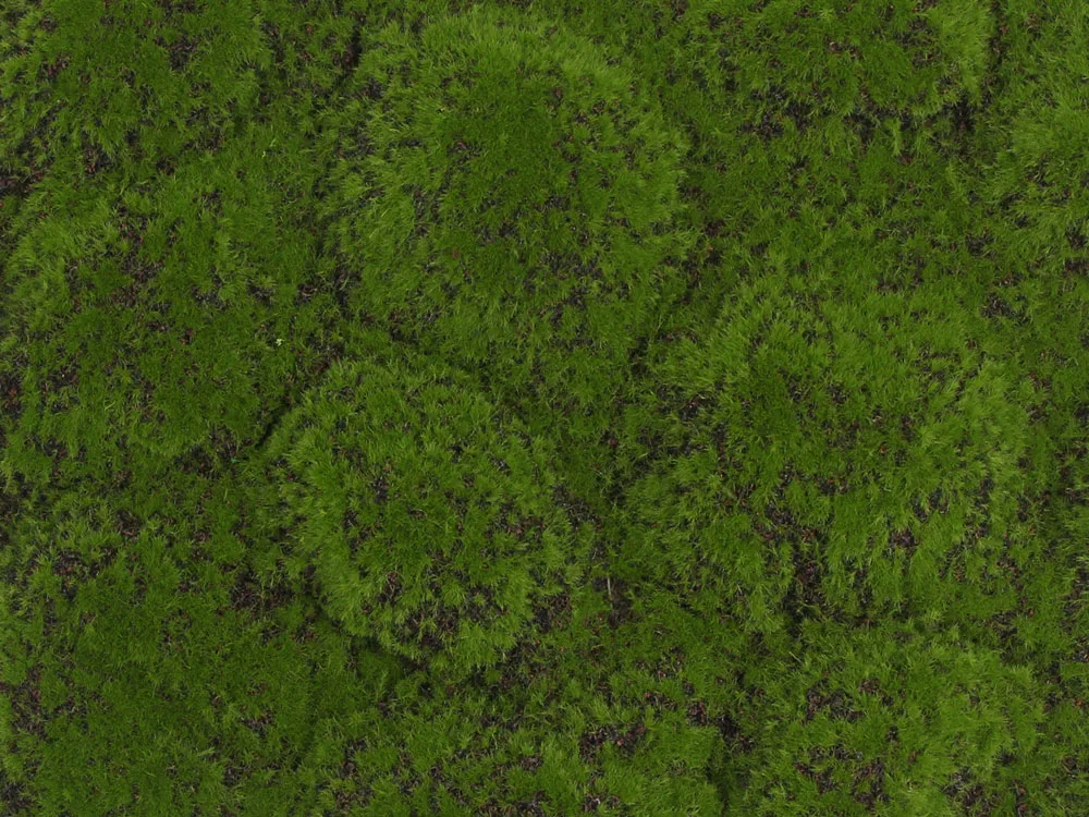 Globe moss green/brown , dílec 50 x 50 cm