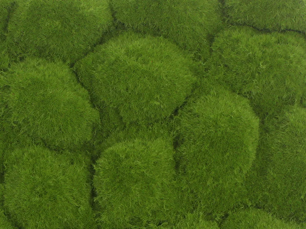 Globe moss light green , dílec 50 x 50 cm
