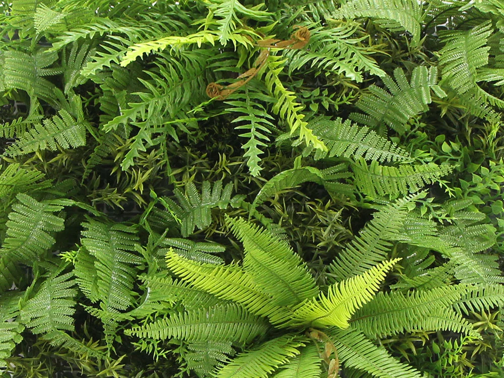 MINI WALL GREEN bush fern , dílec 50 x 50 cm