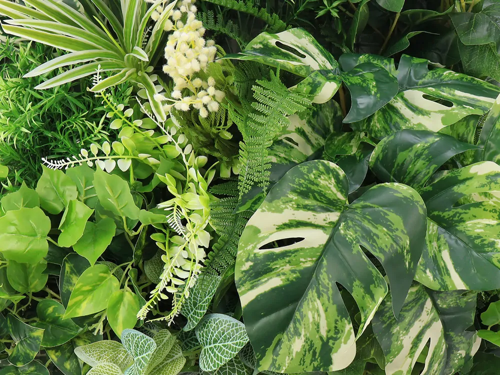 MINI WALL GREEN Monstera, dílec 50 x 50 cm