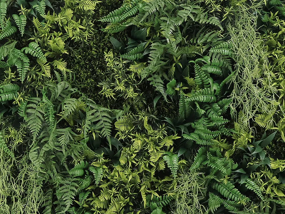 WALL GREEN beard moss fern, dílec 100 x 100 cm